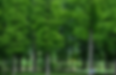 如何開(kāi)發(fā)林業(yè)碳匯項(xiàng)目需要哪些文件資料？