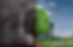 碳期權(quán)，搶占全球碳交易市場先機(jī)