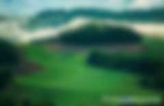 碳匯交易補(bǔ)貼多少錢一噸以及樹林怎么計(jì)算碳匯量，哪個交易所價格最高