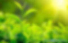 陳亞芹、別智等：國(guó)內(nèi)外綠色金融產(chǎn)品與金融政策綜述