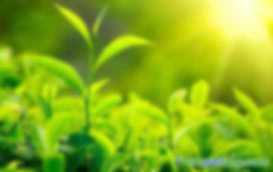 環(huán)境、社會及管治(ESG)培訓(xùn)課程招生簡章官網(wǎng)最新信息發(fā)布