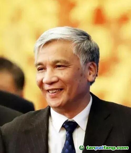 全國人大常委會(huì)副委員長丁仲禮：中國碳中和，可這樣“四步走”！