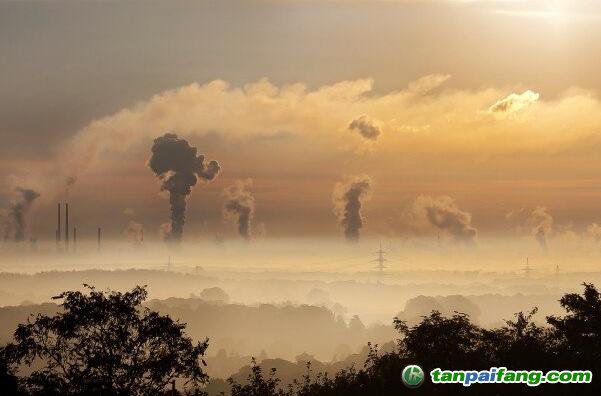 全國碳市場從何而來，又會走向何方？