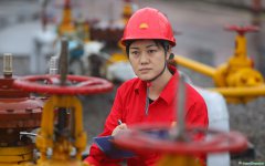 二十大代表謝利平：化精神為動(dòng)力，為碳達(dá)峰碳中和作出基層貢獻(xiàn)