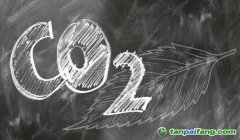 2023年碳排放權交易·碳資產管理、核查核算培訓課程考試最新時間安排——官網正式發(fā)布