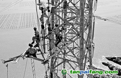 讓產業(yè)“含綠量”提升發(fā)展“含金量”