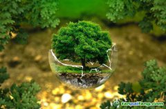 控排企業(yè)碳資產(chǎn)管理代運(yùn)營(yíng)：配額籌劃、合規(guī)化改造等數(shù)據(jù)優(yōu)化、碳交易金融化思維