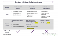 英國養(yǎng)老基金入局碳市場(chǎng)，投資自然類資產(chǎn)