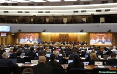 改變現(xiàn)代航運(yùn)業(yè)規(guī)則！IMO通過(guò)溫室氣體減排“凈零框架”！