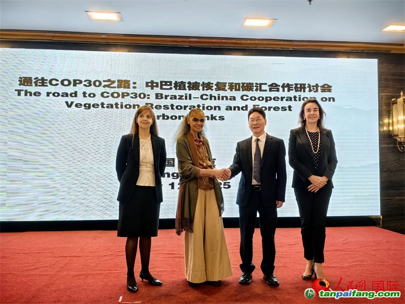 中國國家林業(yè)和草原局副局長李云卿（右二）、巴西環(huán)境和氣候變化部部長瑪麗娜·席爾瓦（左二）、巴西財政部副部長羅熙丹（右一）、巴西駐華大使館公參樂美（左一）出席“通往COP30之路：中巴植樹造林和碳匯合作研討活動”。人民網記者 符園園攝
