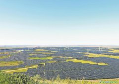 內(nèi)蒙古：逐綠而行 促進(jìn)碳市場高質(zhì)量發(fā)展