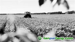 做好農(nóng)業(yè)氣候區(qū)劃，應(yīng)對(duì)全球變暖“烤”驗(yàn)