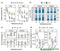 種樹越久，固碳越慢？研究揭示飽和趨勢(shì)