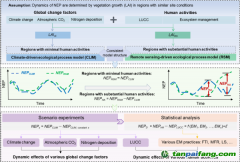 近20年中國(guó)森林管理經(jīng)濟(jì)有效地增加了陸地碳匯